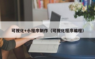 咸宁可视化+小程序制作（可视化程序编程）